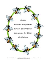 Elfchen-über-Bienen-Beispiel-2.pdf